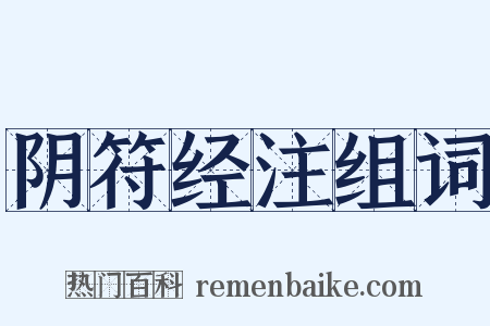阴符经注组词是什么意思的图片
